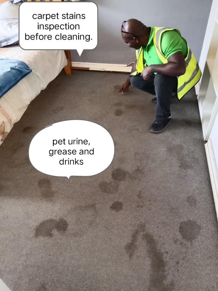 Carpet stain inspection
